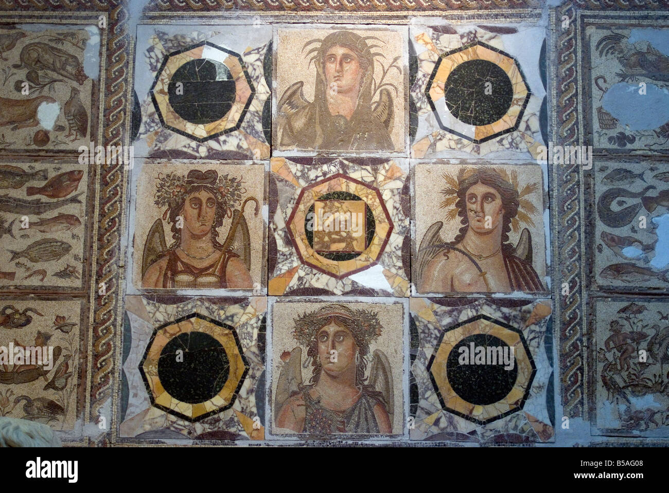 Mosaïque de l'un des sites romains en Libye, libyenne Museum, Tripoli, Libye, Afrique du Nord, Afrique Banque D'Images