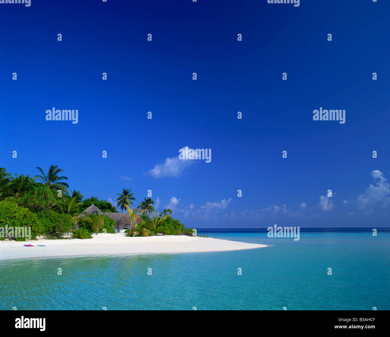 Une plage tropicale avec palmiers et de huttes au toit de chaume dans les îles Maldives, océan Indien Banque D'Images