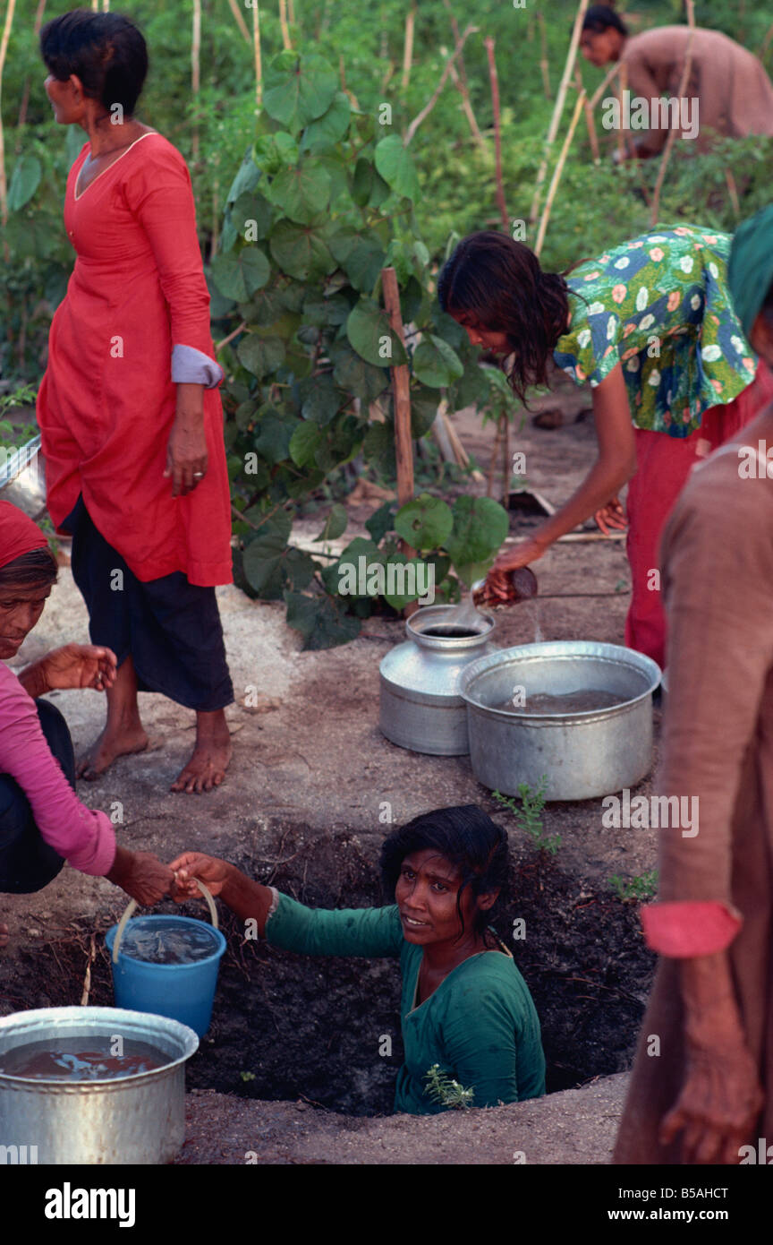 La collecte de l'eau pour l'agriculture, Maldives Banque D'Images
