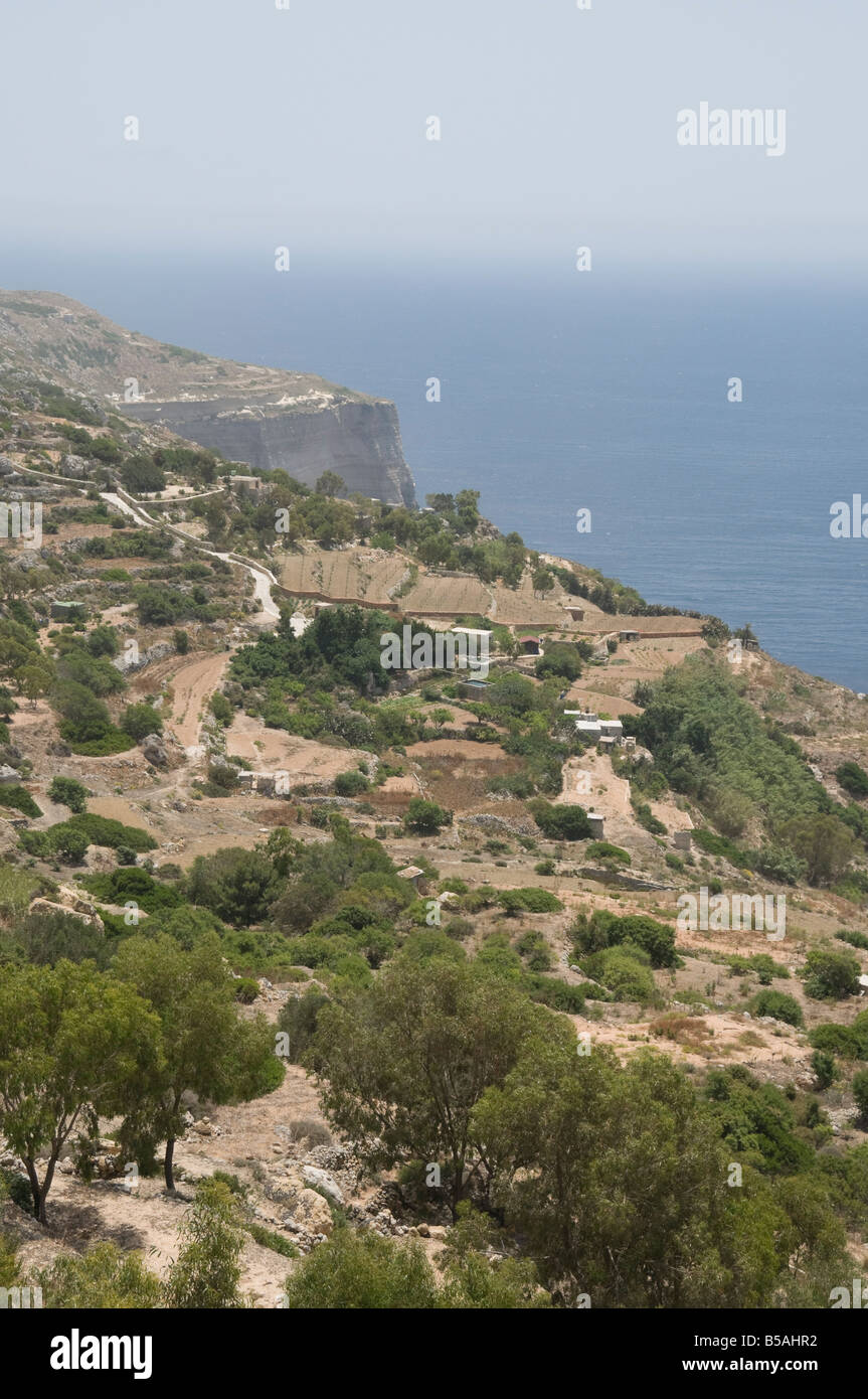 Les falaises de Dingli, Malta, Europe Banque D'Images