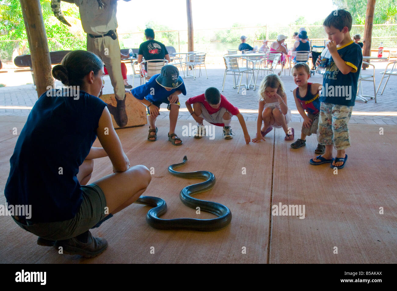 Un ranger de la faune à la Malcolm Douglas Wildlife Park près de Broome montre un python pour les enfants d'olive Banque D'Images
