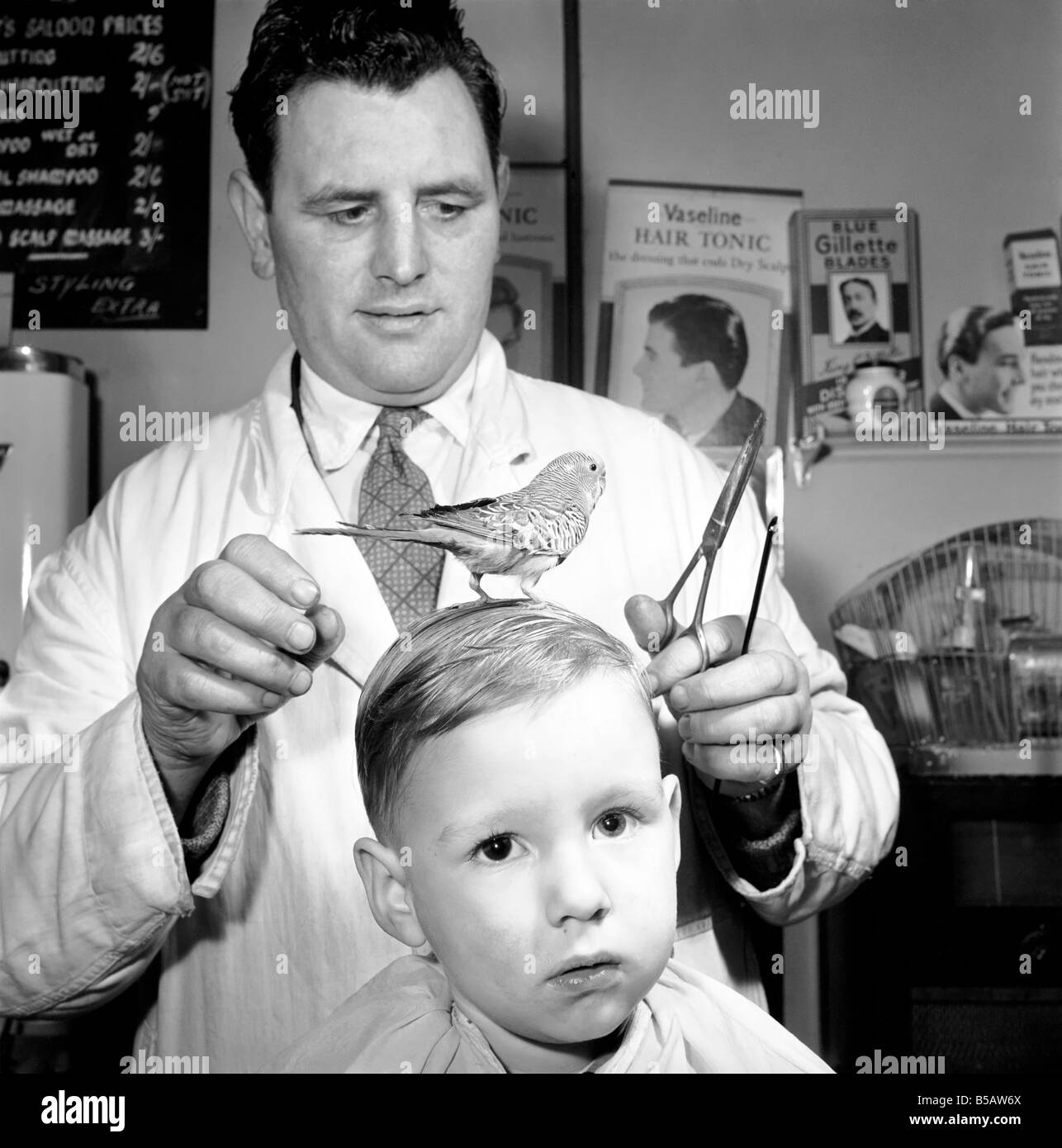 Coiffure Humour M Jim Reid Avec Billy Le Budgie Vu Ici A La Coiffure Alors Que Son Jeune Ami Se Fait Couper Les Cheveux Mars 1958 A643 025 Photo Stock Alamy Coiffure Humour M Jim Reid Avec Billy Le Budgie Vu Ici A La Coiffure Alors Que Son Jeune Ami Se Fait Couper Les Cheveux Mars 1958 A643 025 Photo Stock Alamy