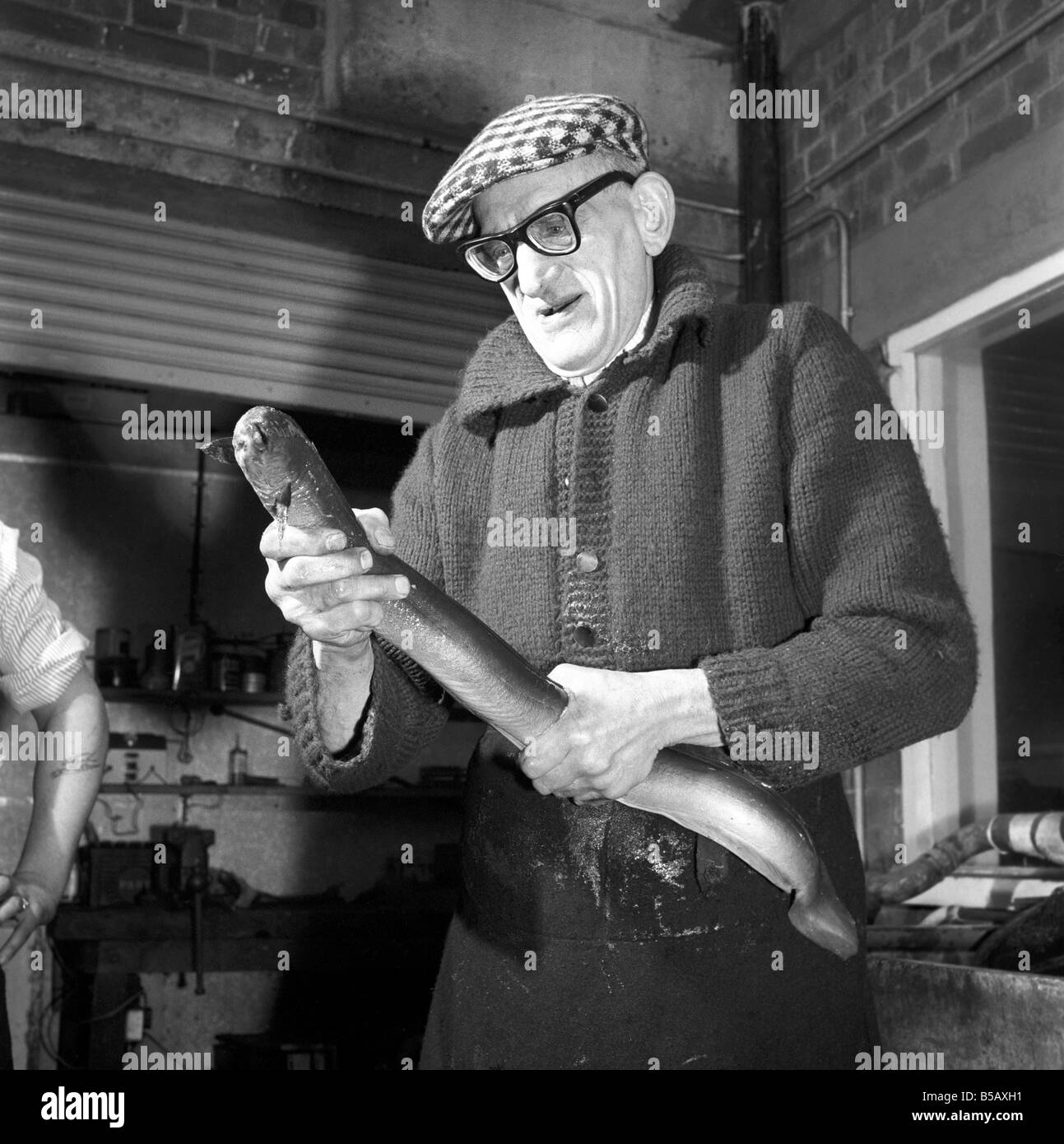 Pour attraper les anguilles Banque d'images noir et blanc Alamy