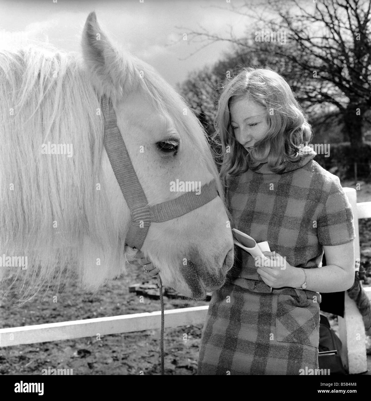 Cheval plus ancienne en Angleterre vu ici d'être caressé par femme. 1962 C116A-004 Banque D'Images