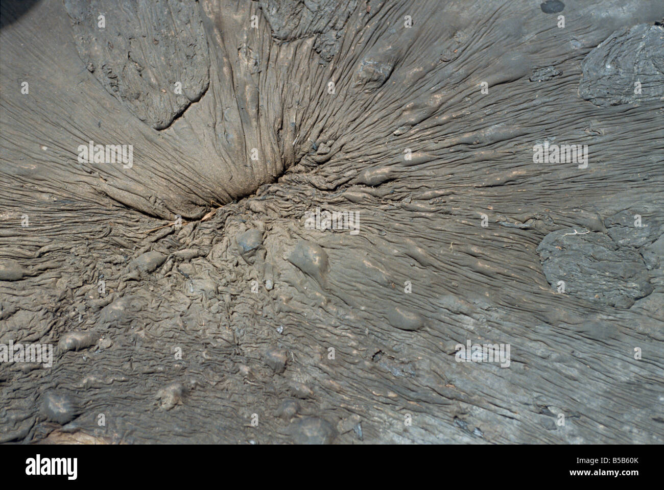 Close up de pas à le plus vaste lac naturel de 90 mètres de profondeur terrain Trinité Antilles Caraïbes Amérique centrale Banque D'Images