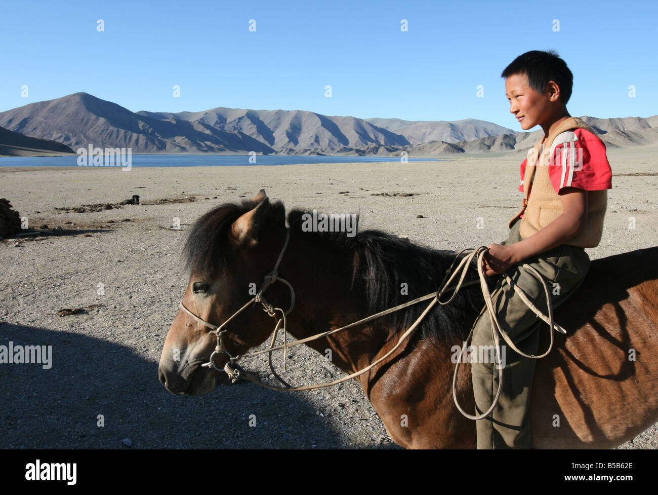 Garçon sur un cheval mongol Banque D'Images