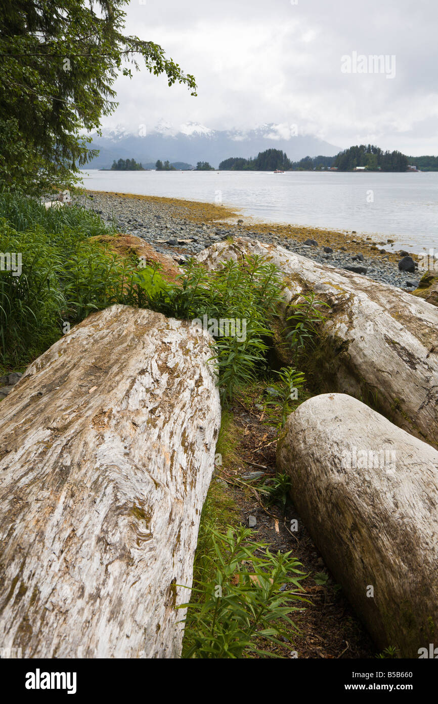 Sciage et rochers parsèment le canal de l'Est littoral en face d'une montagne de Sitka, Alaska Banque D'Images