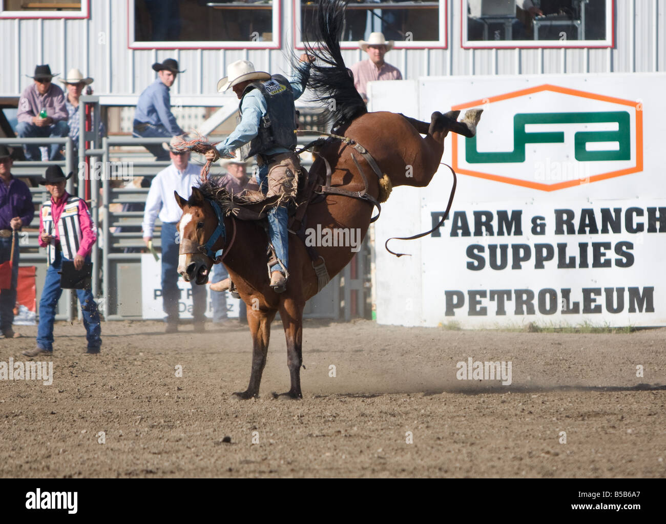 Bronc selle cheval bucking durant la compétition à un rodéo en plein air. Banque D'Images