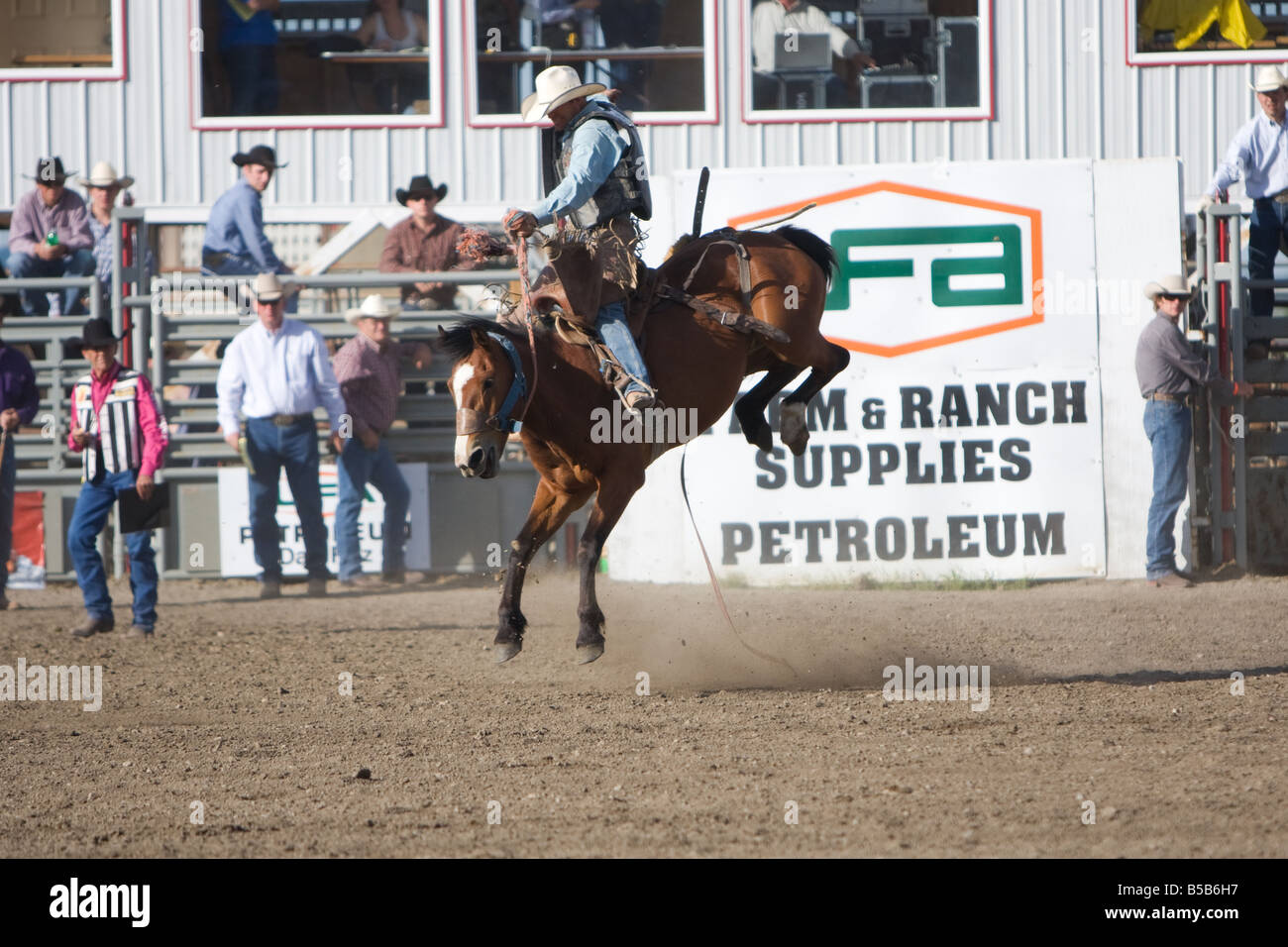 Bronc selle cheval bucking durant la compétition à un rodéo en plein air. Banque D'Images