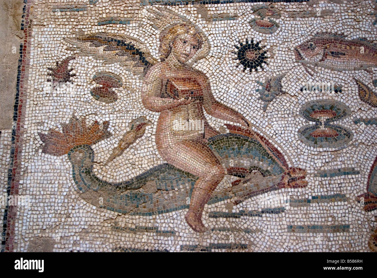 Partie d'Amphitrite mosaic, Chambre d'Amphitrite, ruine romaine de Bulla Regia, Tunisie, Afrique du Nord, Afrique Banque D'Images