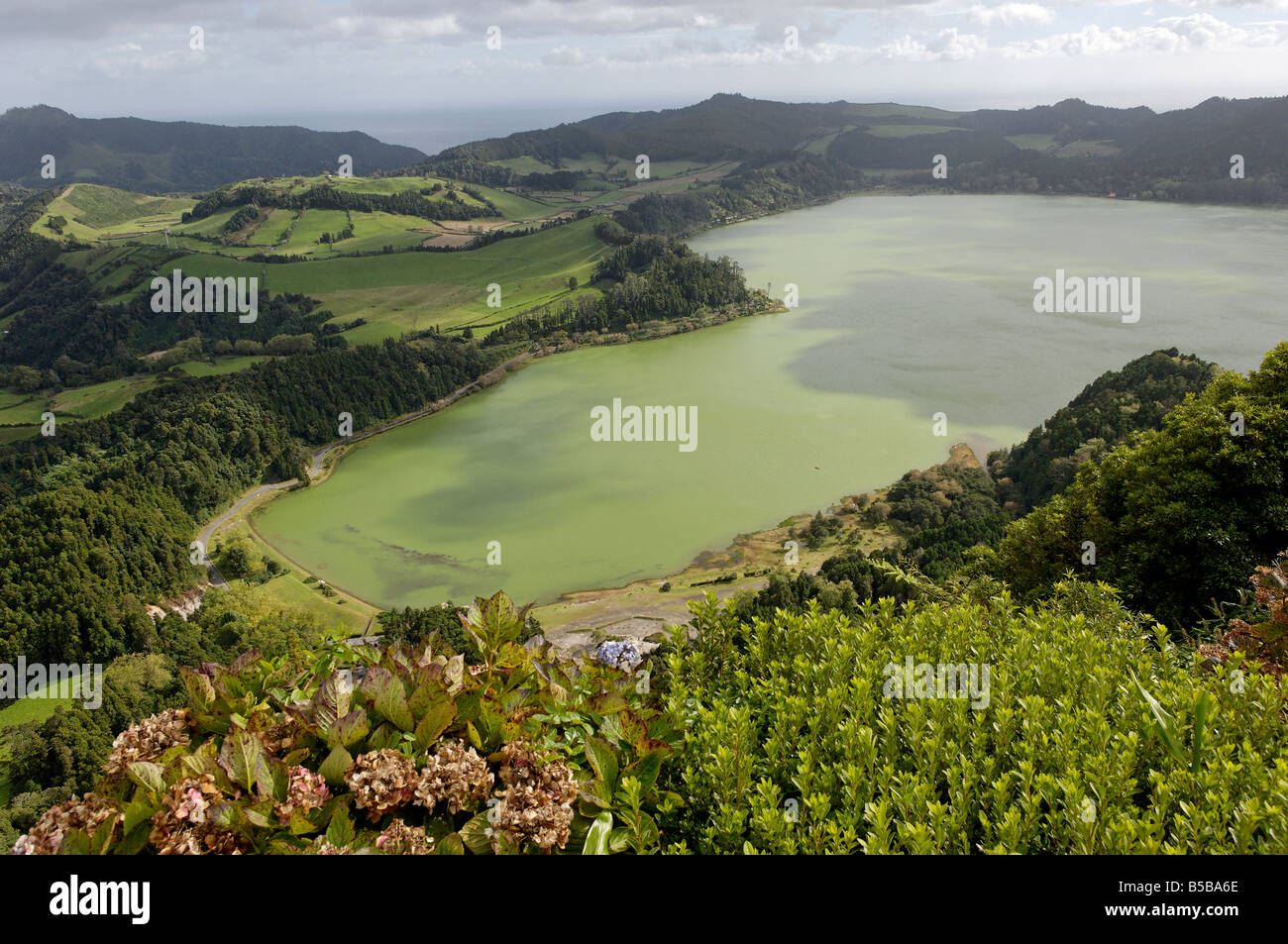 Furnas Lake, l'île de São Miguel, Açores, Portugal, Europe Banque D'Images