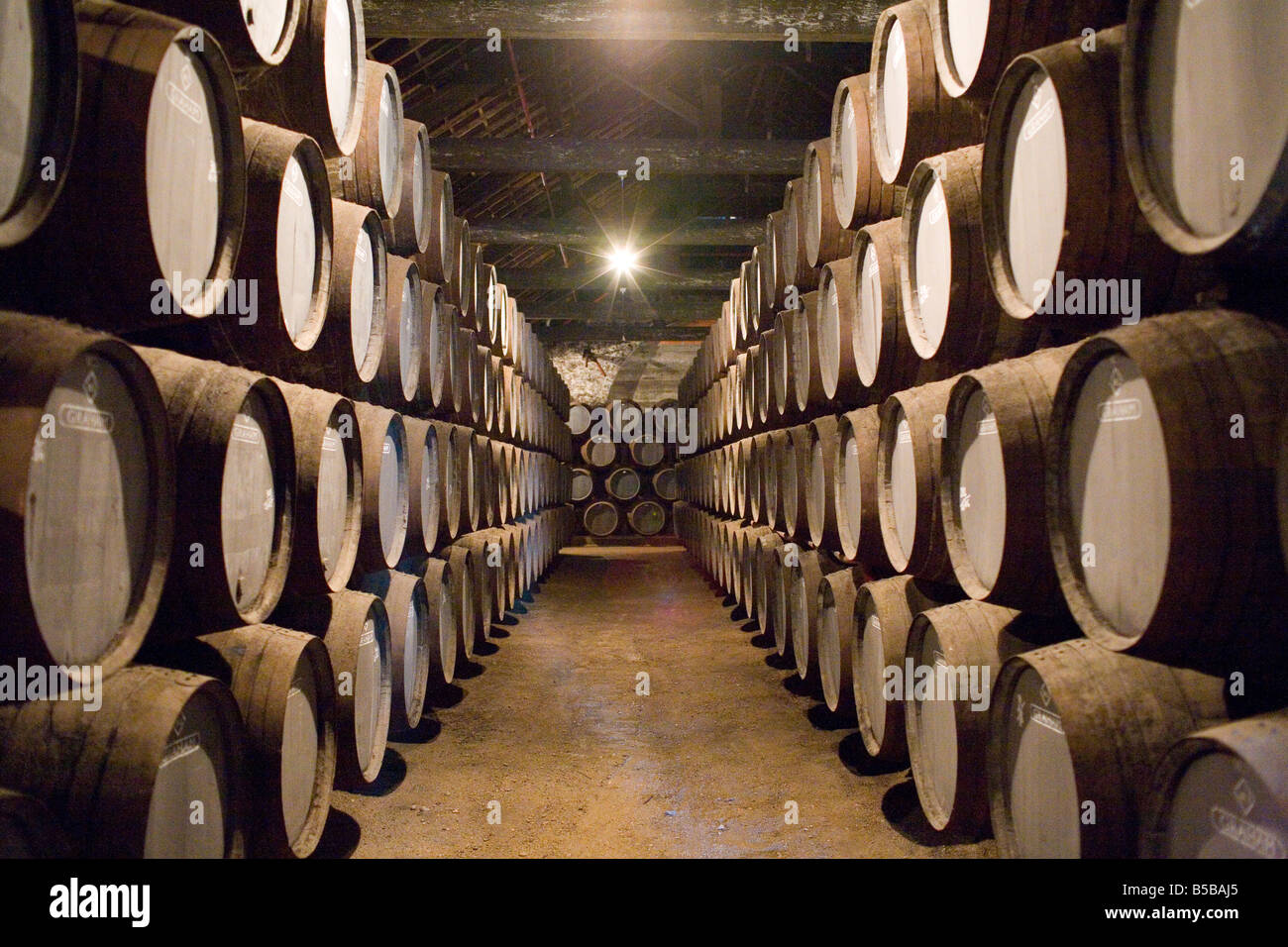 Port traditionnel de barils dans lesquels porto tawny mûrit, Av. Ramos Pinto, Vila Nova de Gaia, Porto, Portugal Banque D'Images