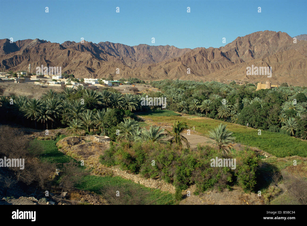 Vue sur l'oasis de Bithnal ville des montagnes d'Oman Emirats Arabes Unis Moyen-orient Banque D'Images