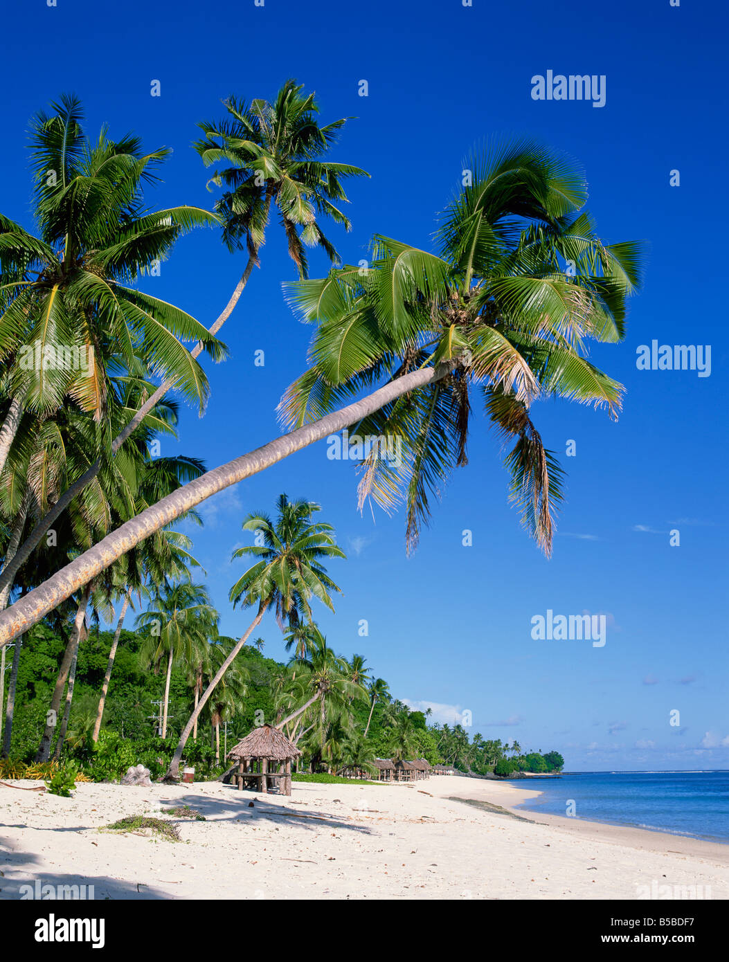 Palmiers et plage tropicale à Lalamanu près de Vavau Western Samoa Iles du Pacifique Pacific Banque D'Images