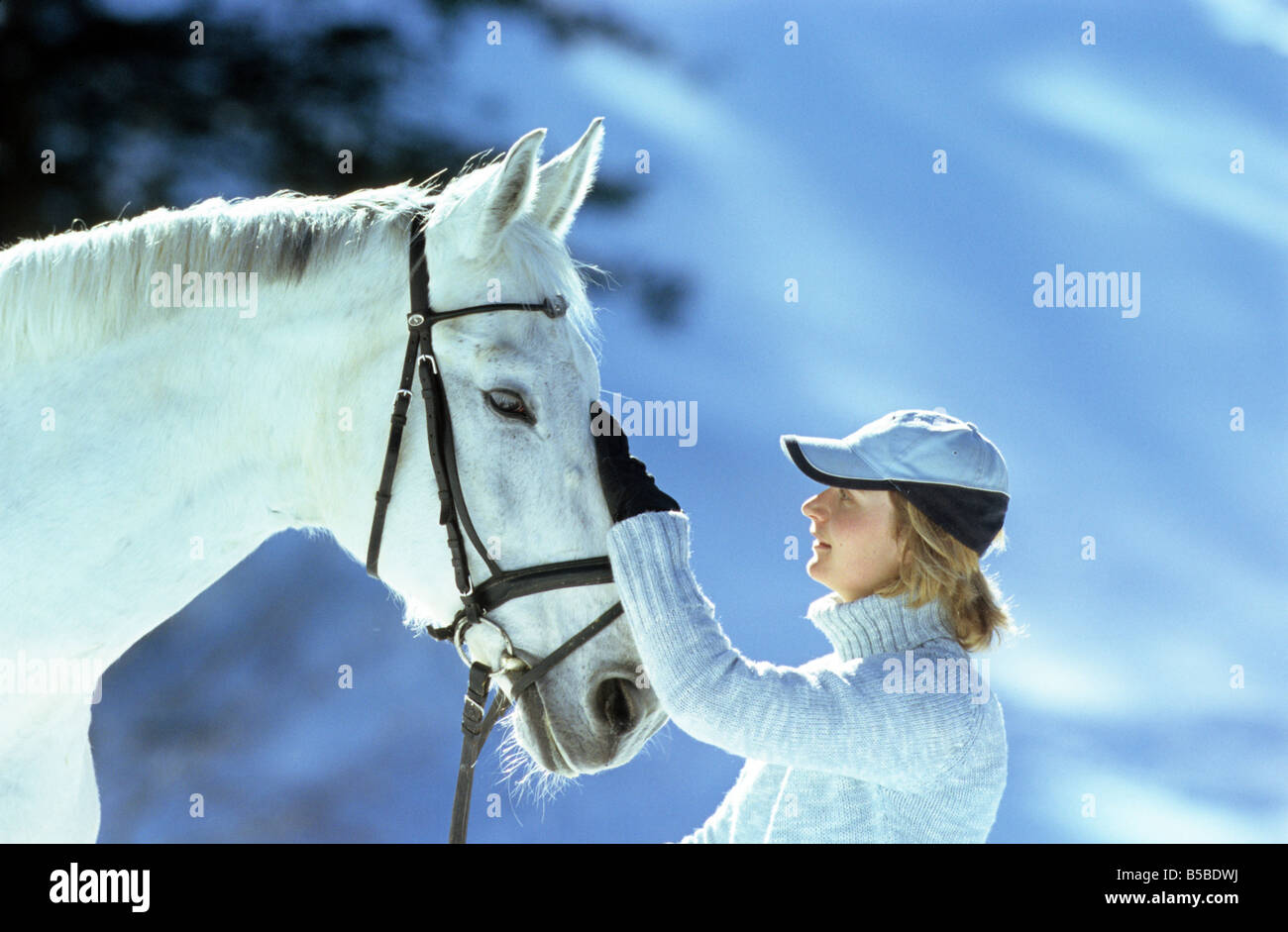 Cheval domestique Equus caballus femme loue son cheval Banque D'Images
