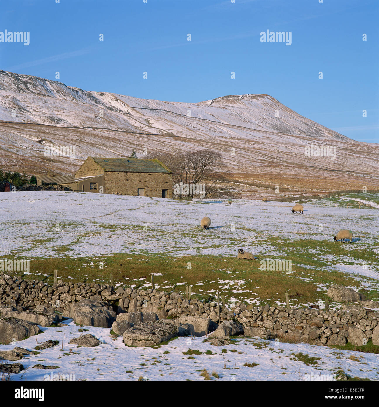 Yorkshire Dales en hiver, North Yorkshire, England, Europe Banque D'Images
