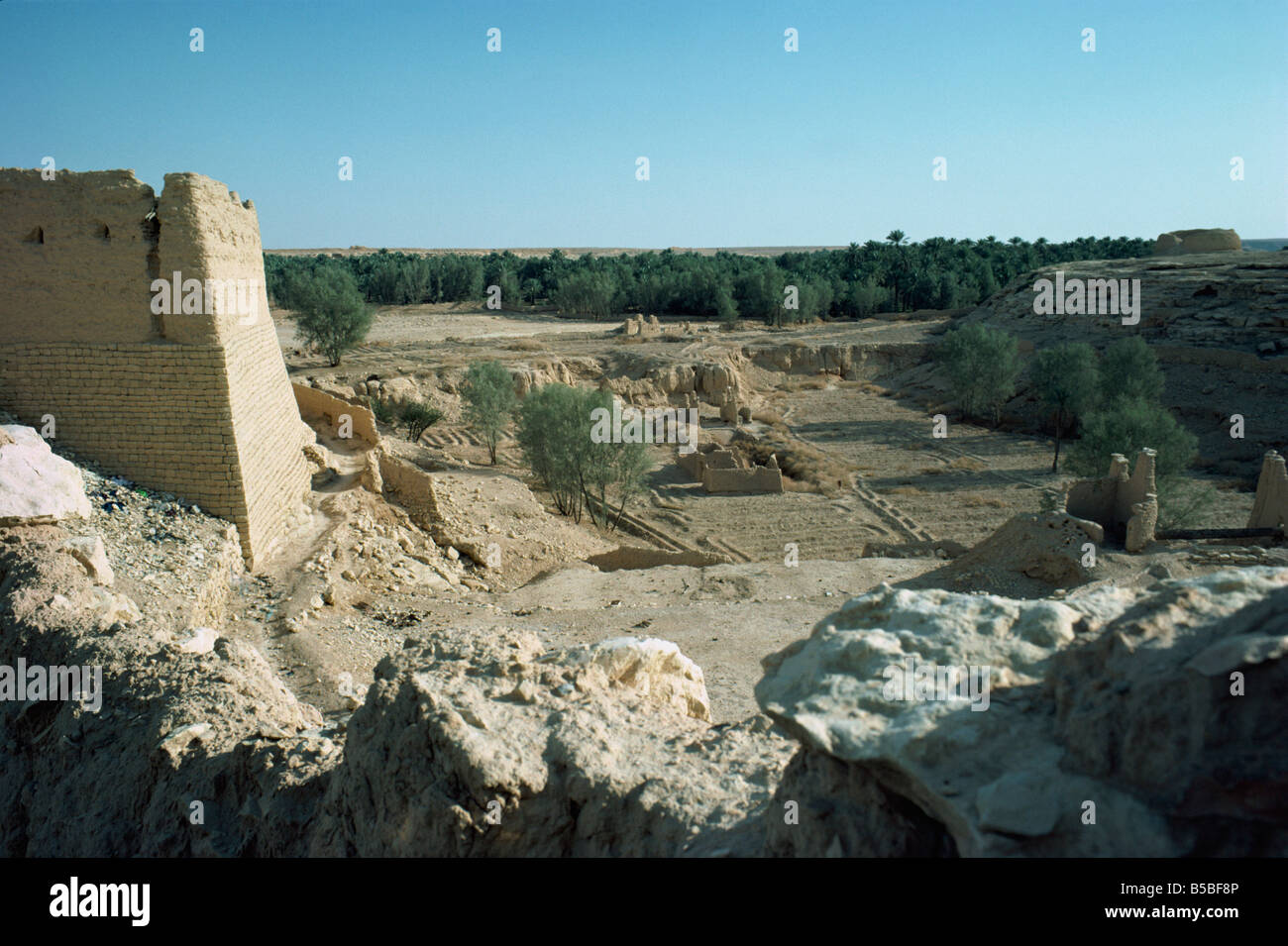 L'Oasis Al Diriya près de Riyad Arabie Saoudite Moyen-orient Banque D'Images