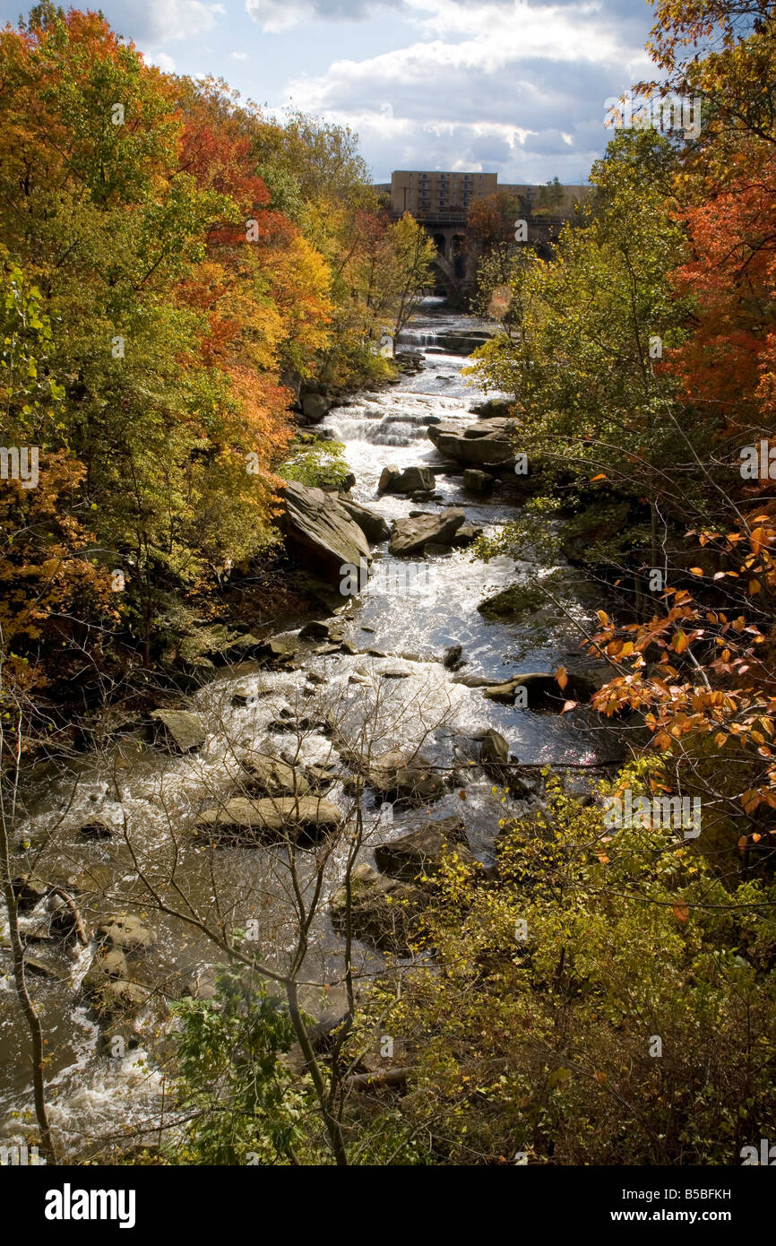 Cleveland Ohio Berea Falls sur la rivière rocheuse dans la réservation de Rocky River Metropark Banque D'Images