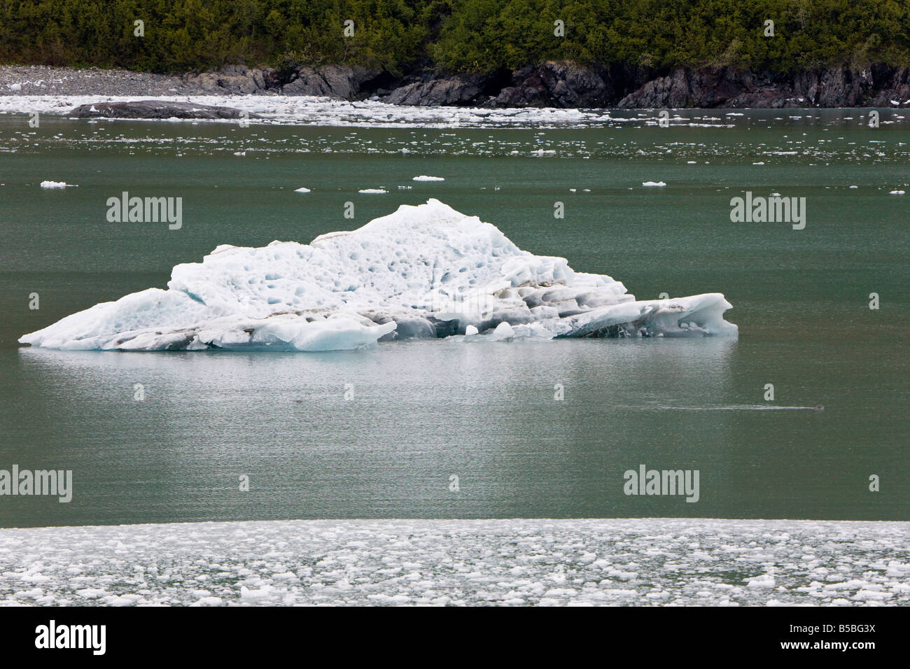 Grand iceberg flottant dans la baie près de désenchantement en Alaska Glacier Hubbard Banque D'Images
