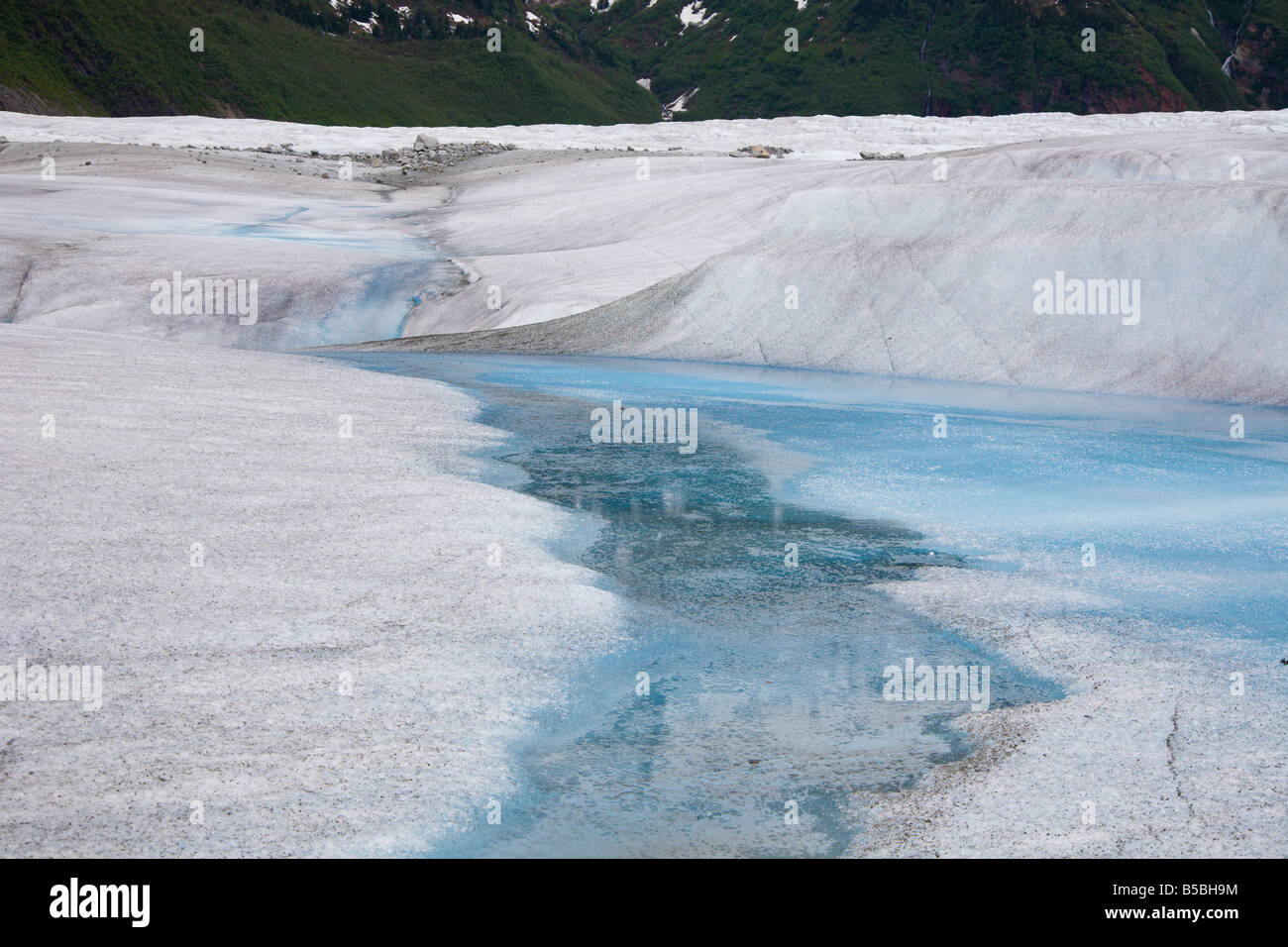La fonte de la glace creuse les ruisseaux au sommet du glacier Mendenhall près de Juneau, en Alaska Banque D'Images
