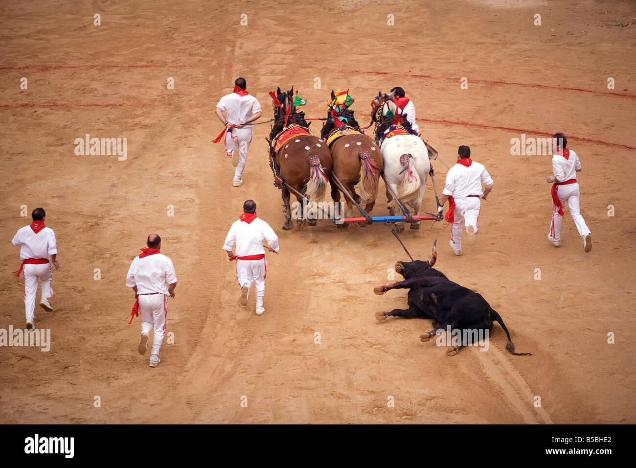 Fin de la corrida, Plaza de Toros, San Fermín, Pampelune, Navarre, Pays Basque, Espagne, Europe Banque D'Images