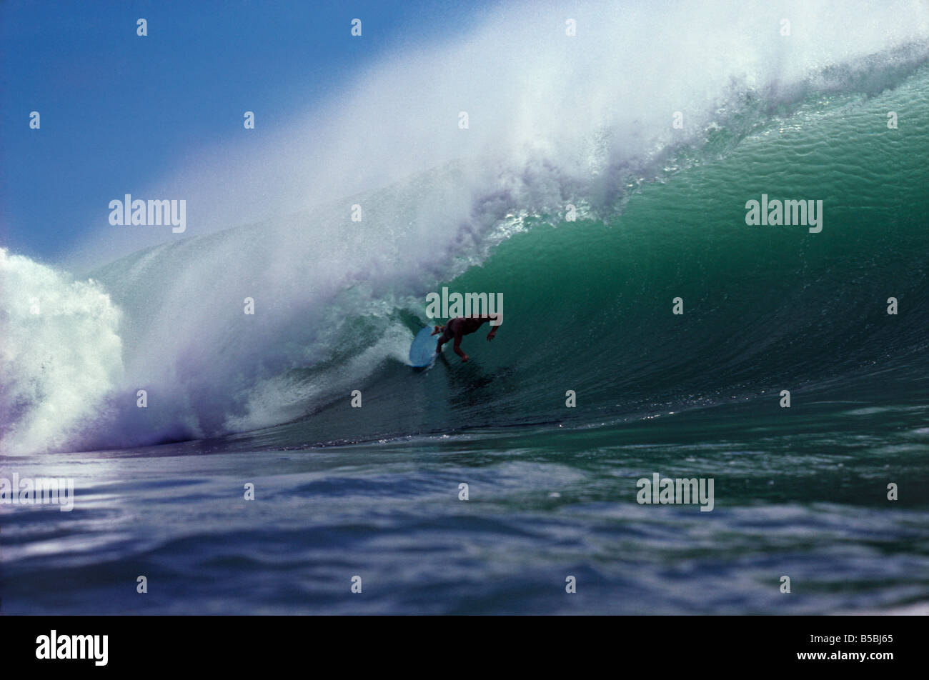 Sergio Surfer sur l'élimination d'Amsler une vague à Padang Padang Bali Indonésie Banque D'Images Sergio Surfer sur l'élimination d'Amsler une vague à Padang Padang Bali Indonésie Banque D'Images