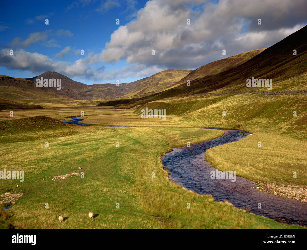 Glen Shee Tayside Ecosse Angleterre J Miller Banque D'Images