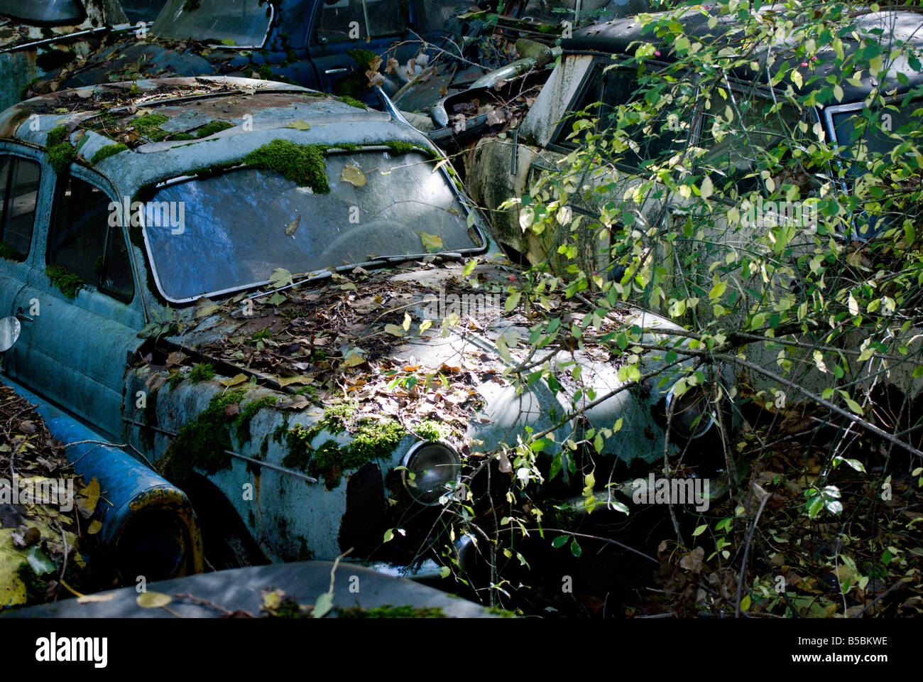 Vieilles voitures à la casse ; Autofriedhof Gurbetal, Kaufdorf, Suisse  Photo Stock - Alamy