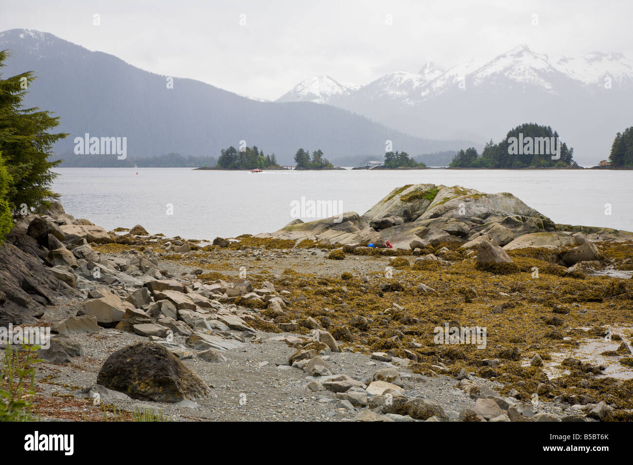 De l'Est littoral rocheux Canal de Sitka, Alaska Banque D'Images