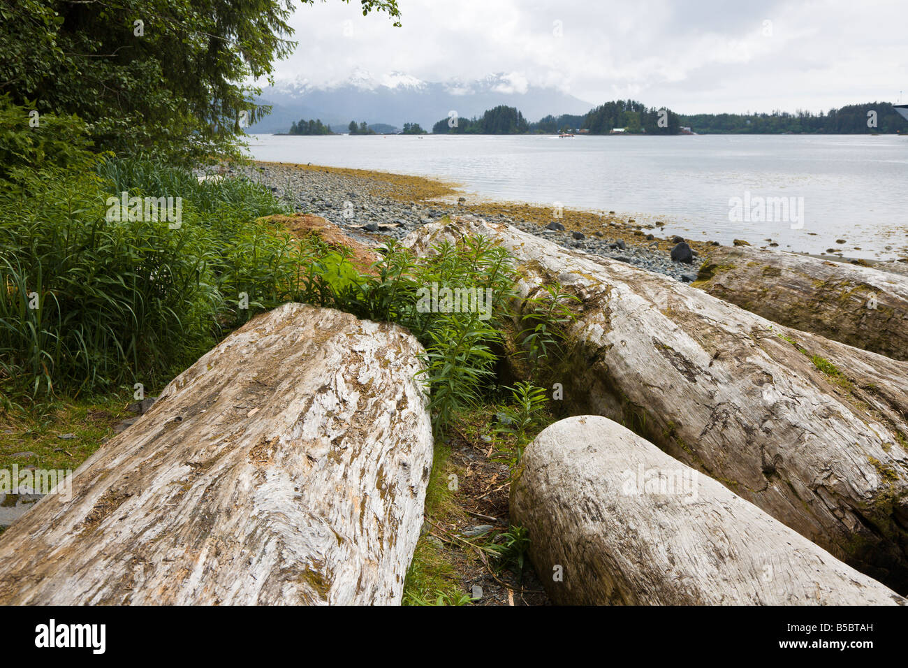 Sciage et rochers parsèment le canal de l'Est littoral en face d'une montagne de Sitka, Alaska Banque D'Images