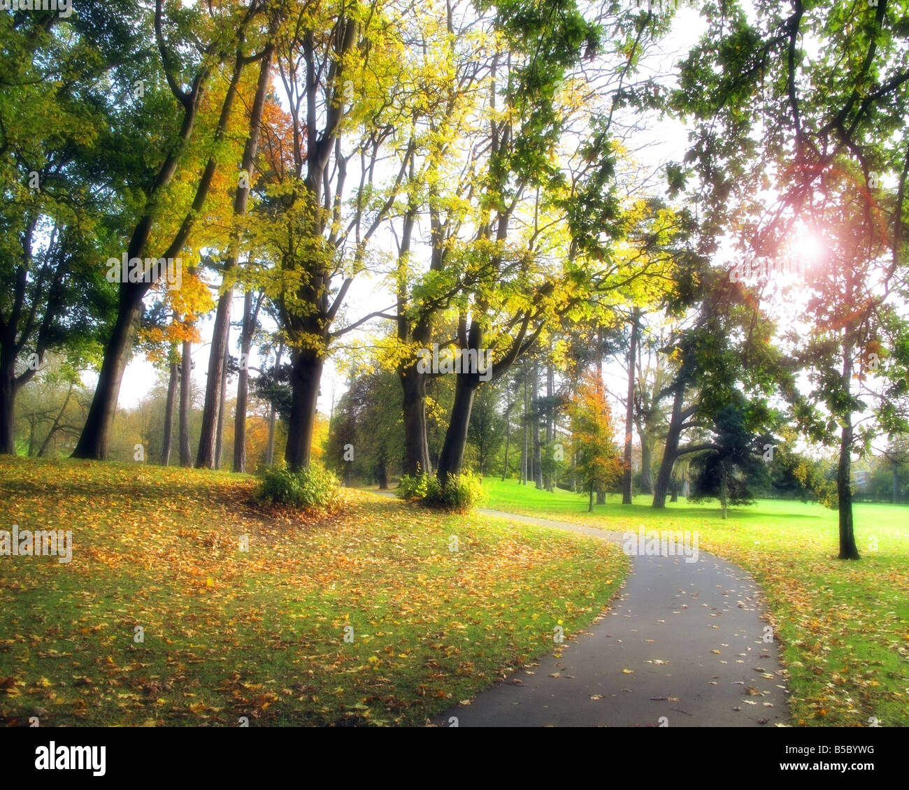Go - GLOUCESTERSHIRE : Automne à Cheltenham Pittville Park Banque D'Images