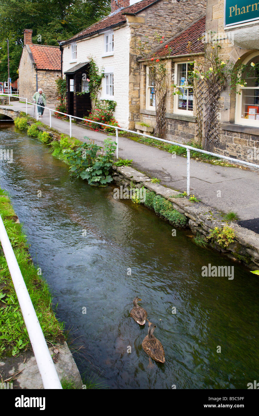 Cottages et ruisseau Thornton Dale Yorkshire Angleterre Banque D'Images