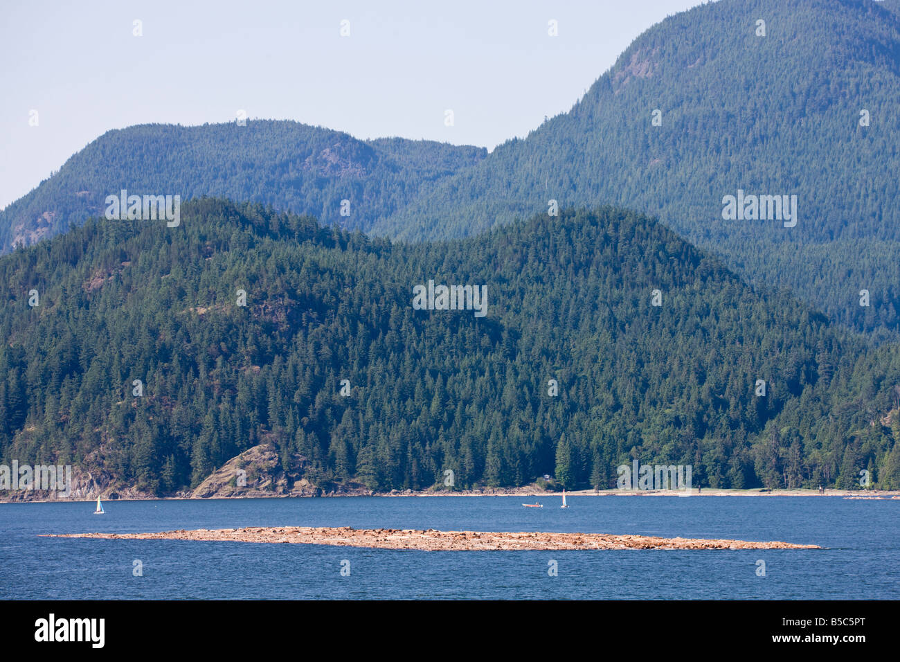 Flotille de sciage, Howe Sound, entre Horseshoe Bay et GIBSONS, Colombie-Britannique, Canada Banque D'Images