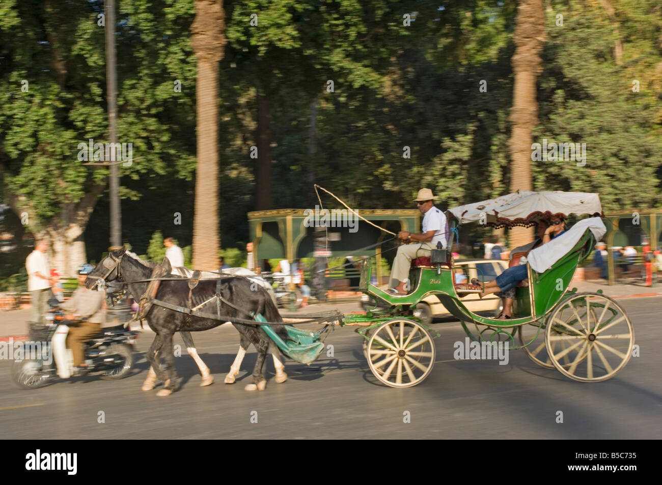 Un cheval Tourisme et transport (Vosges) à Marrakech - vitesse d'obturation lente et le panoramique de flou. Banque D'Images