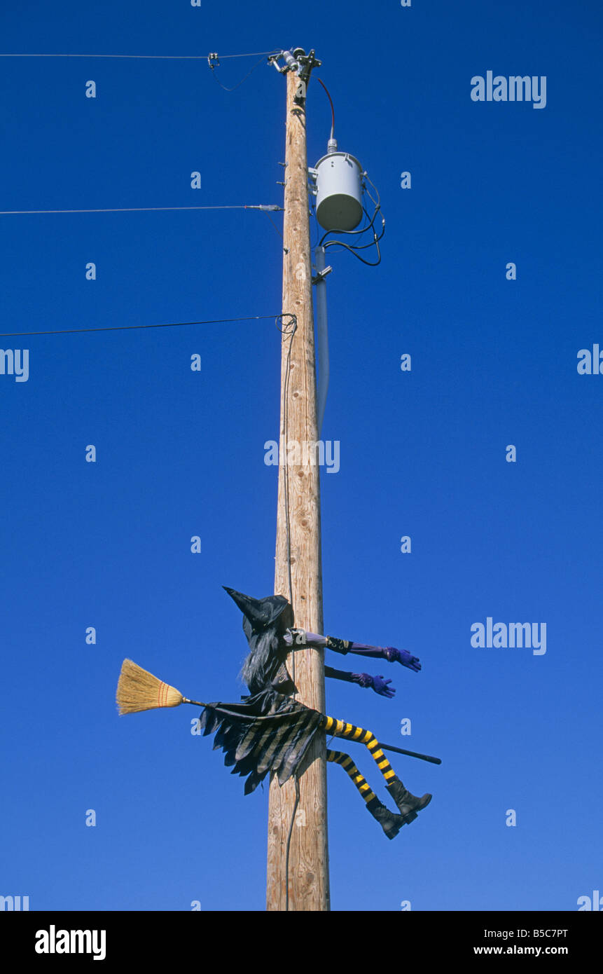 Ce Halloween sorcière sur son balai aurait dû faire plus attention Banque D'Images