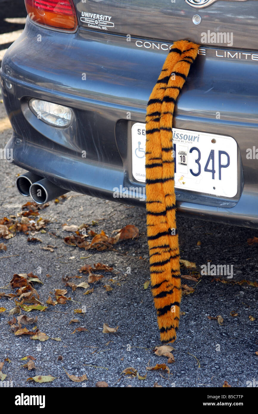 La queue de marionnettes d'un tigre qui semble être verrouillé dans le  coffre d'une voiture à New York comme une blague Photo Stock - Alamy