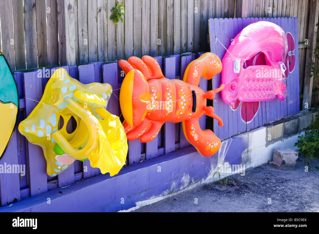L'eau jouets gonflables colorés accrochés sur un mur pourpre Banque D'Images