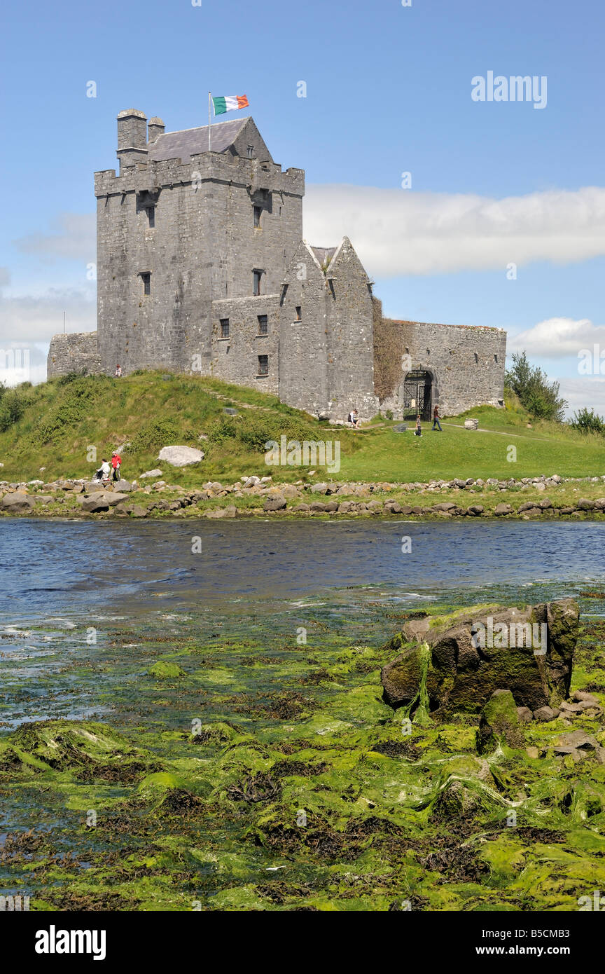 Dunguaire Castle, Kinvara, comté de Galway, Irlande, l'Eire Banque D'Images