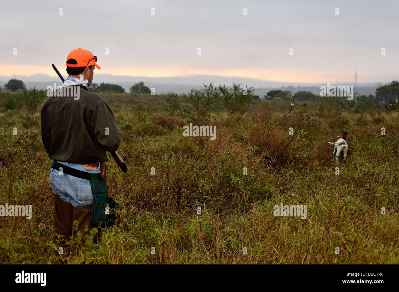Colin Hunter et le chien au lever du soleil au Mexique Banque D'Images