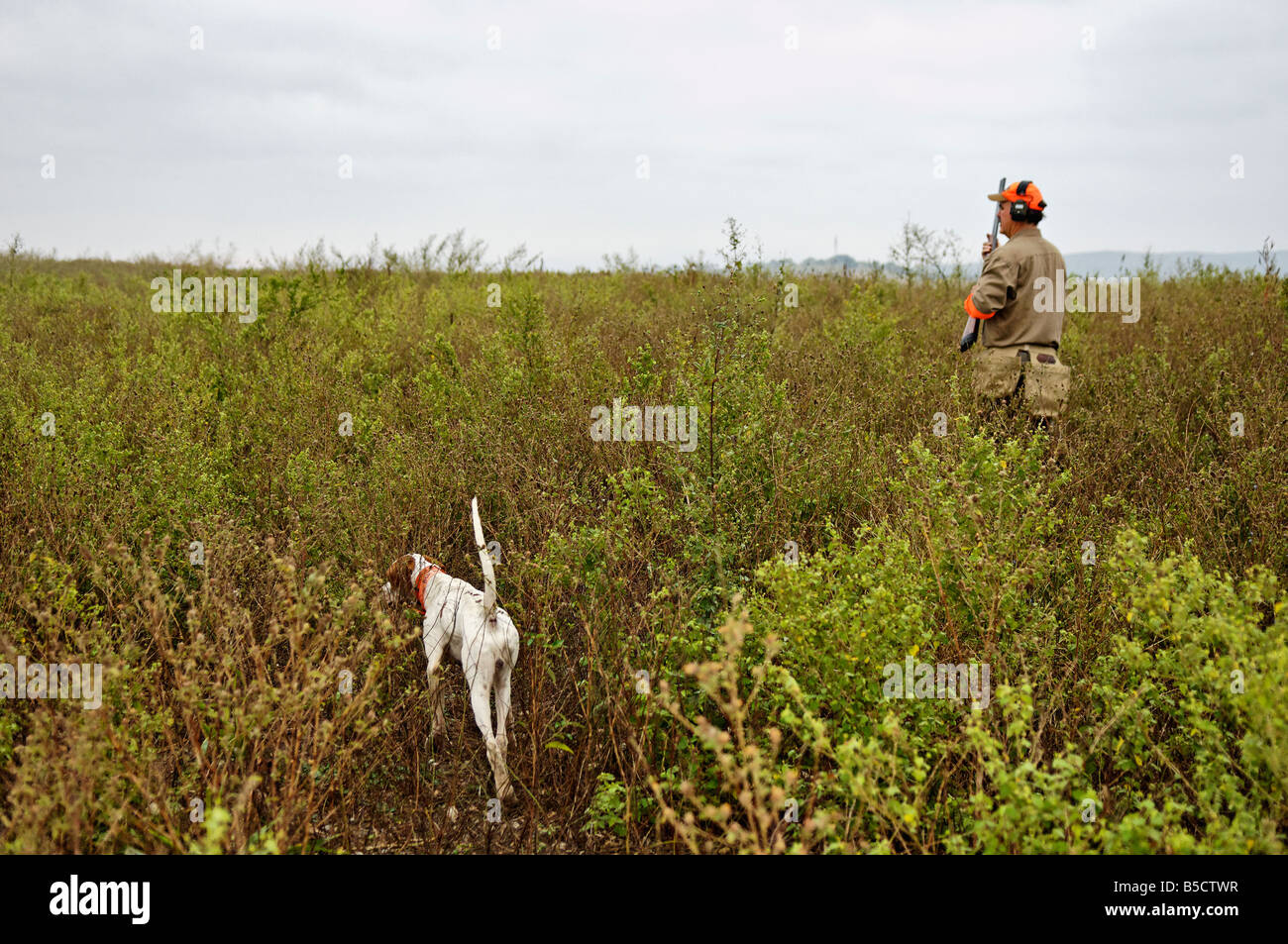 Pointer Anglais sur le point avec Chasseur d'oiseaux de montagne derrière au Mexique Banque D'Images
