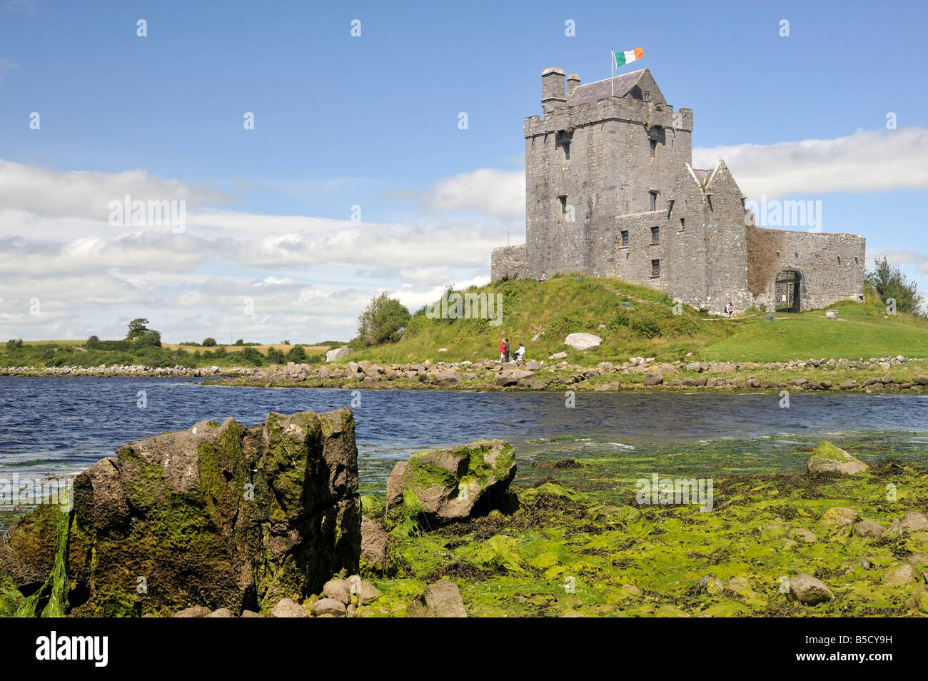 Dunguaire Castle, Kinvara, comté de Galway, Irlande, l'Eire Banque D'Images