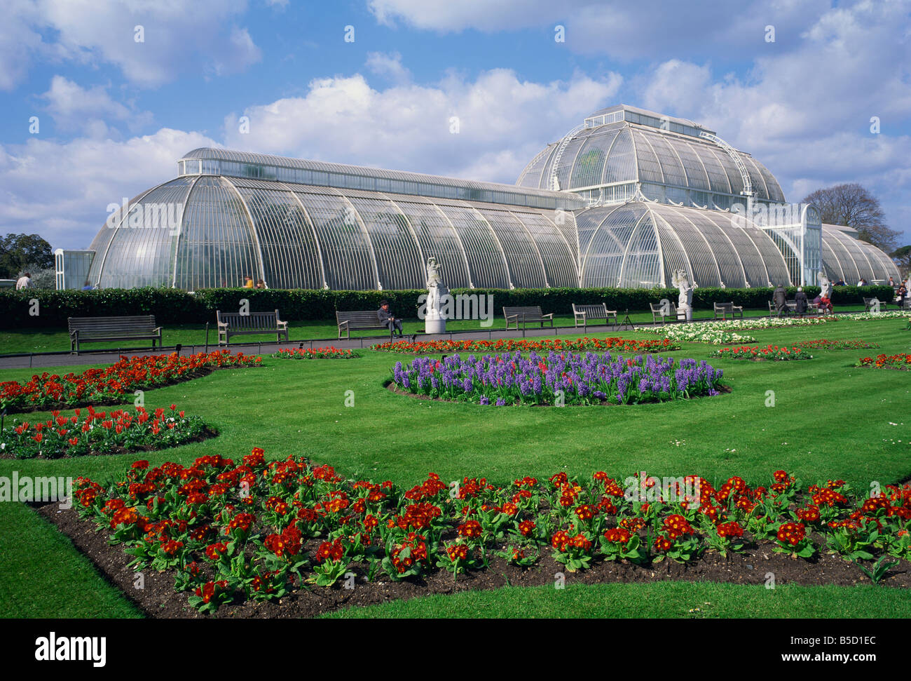 Le Palm House les Jardins botaniques royaux de Kew Kew Gardens London England UK R Rainford Banque D'Images