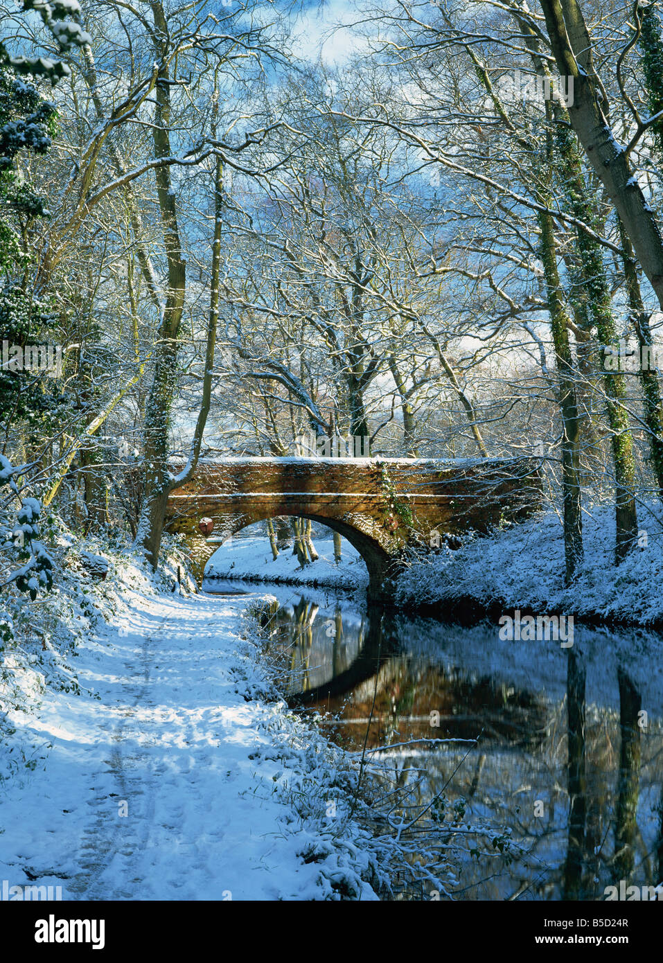 Neige sur le Canal de Basingstoke Stacey s pont et chemin de halage Winchfield Hampshire Angleterre P Bucknall Banque D'Images