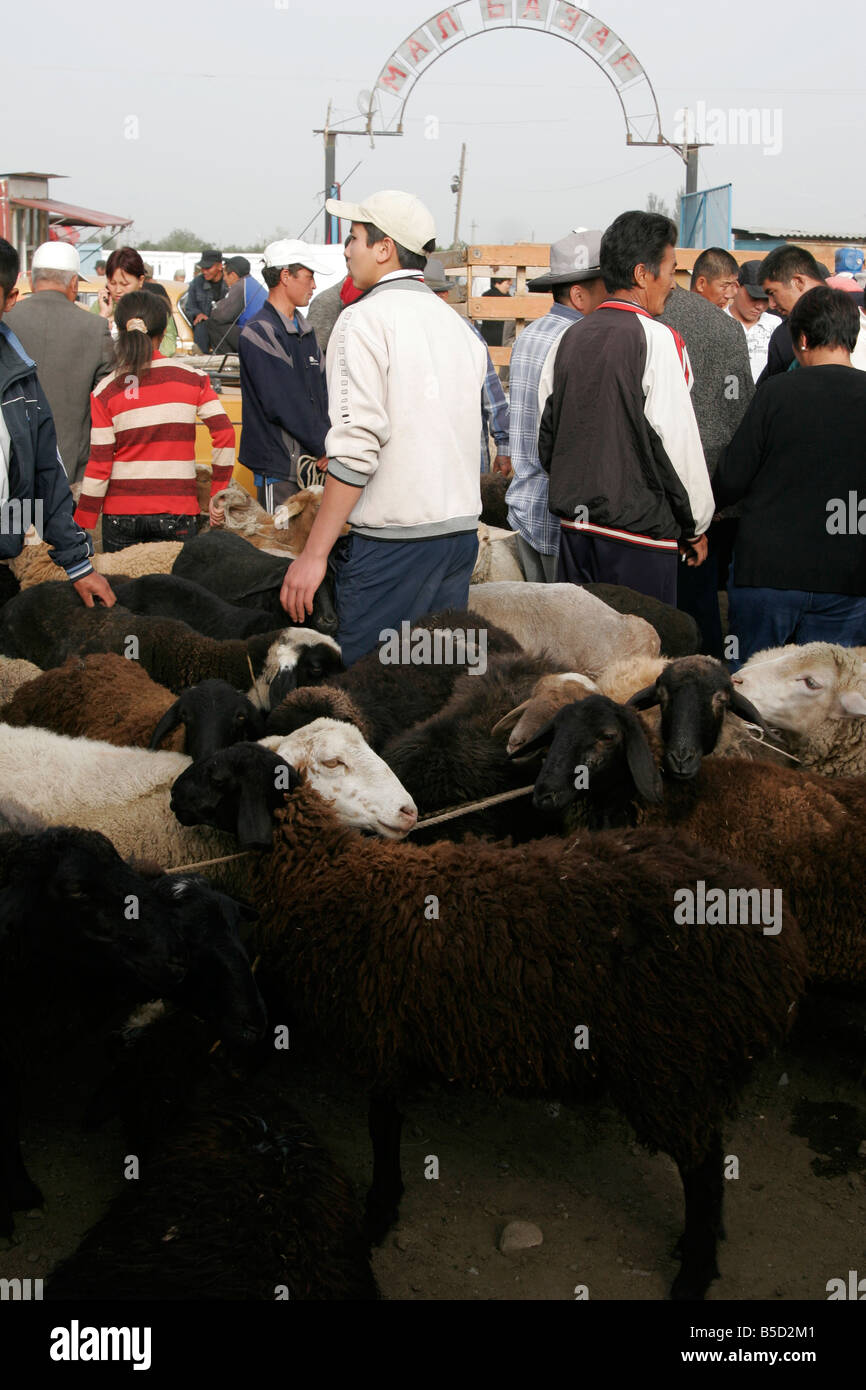 Dimanche marché des animaux à Karakol, le Kirghizistan, l'Asie centrale Banque D'Images