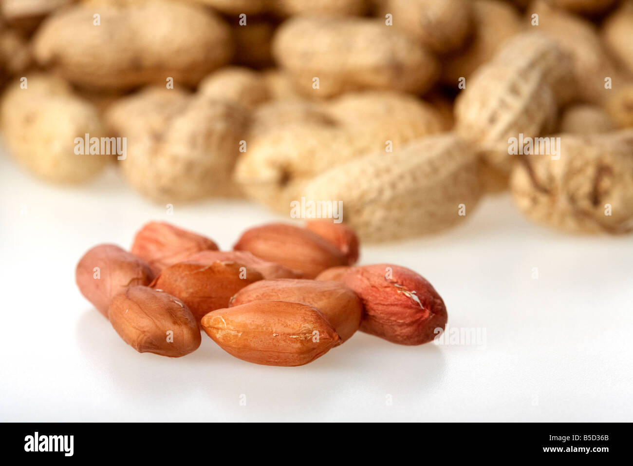 Tas d'arachides dans leurs coquilles et quelques fruits secs décortiqués Banque D'Images