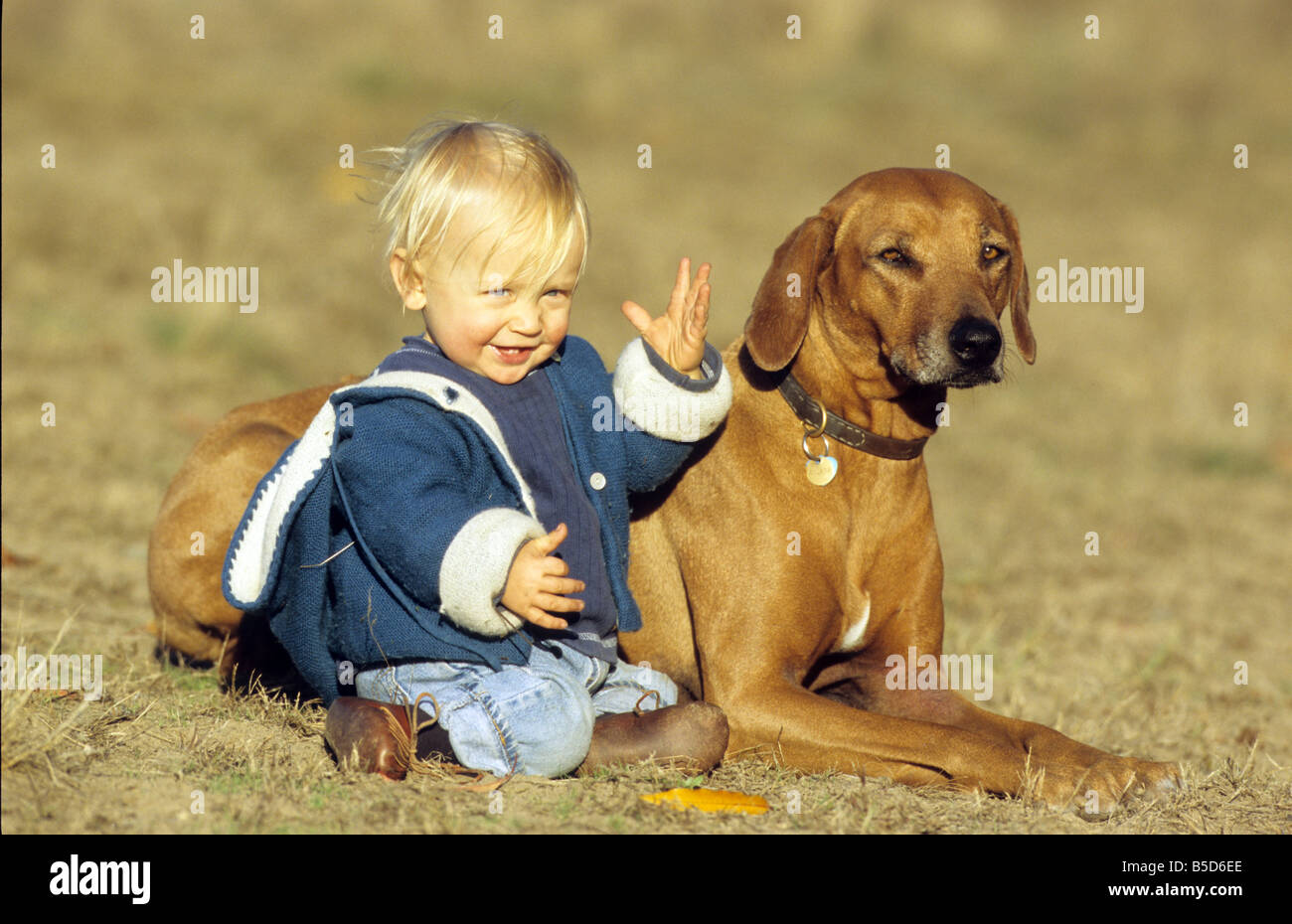 Le Rhodesian Ridgeback (Canis lupus familiaris). Jeune garçon assis à côté de couché chien adulte Banque D'Images