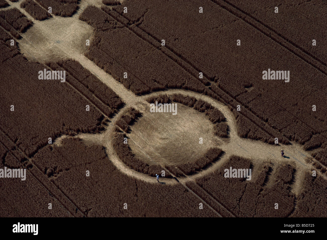 Exemple précoce d'un crop circle, Avon Wiltshire, Angleterre, l'Europe à la frontière Banque D'Images