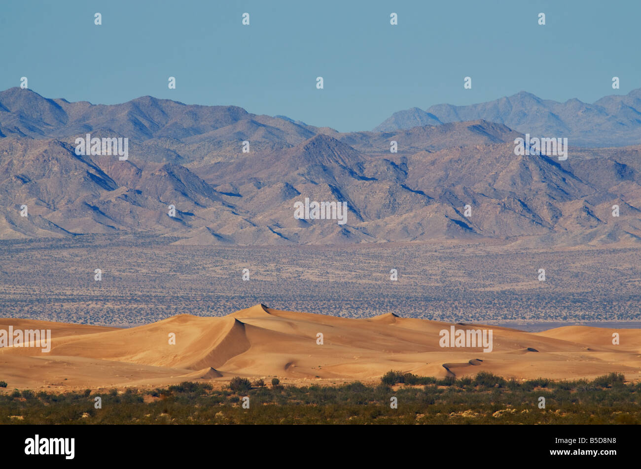Cadix dunes désert de Mojave en Californie Banque D'Images