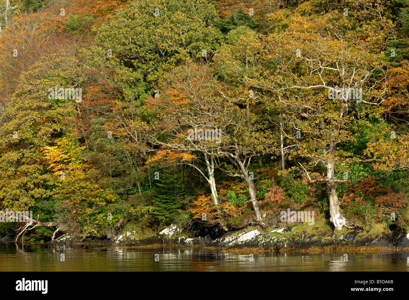 La baie de Kenmare Banque D'Images