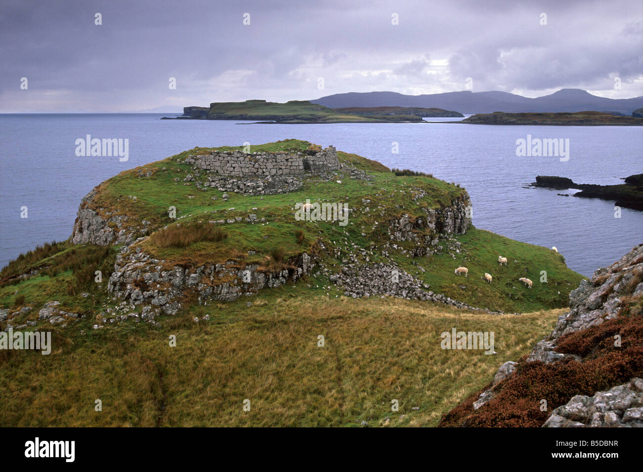 Ruines de Dun Ardrek, gardant l'entrée du Loch Harport, près de Portnalong, île de Skye, Écosse, Hébrides intérieures Banque D'Images